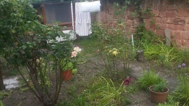 Foto: Karlheinz Paskuda