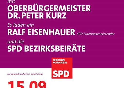 10650053_748496768530543_4250352764998317338_n SPD-Flyer | Quelle: Thorsten Riehle