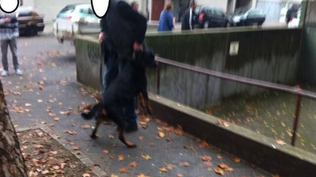 10712926_395150367305565_2590764860160137295_n Foto: Maik Rügemer