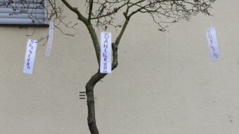 10690127 972098616152031 7269252441418518209 n 340x191 - Etappensieg gegen die Abrisspl&auml;ne der GBG?