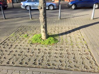 img 6826 baumscheiben mini 340x255 - Frische Ideen f&uuml;r den Neumarkt