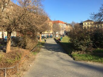 img 6832 gehweg sitzgelegenheiten mini 340x255 - Frische Ideen f&uuml;r den Neumarkt