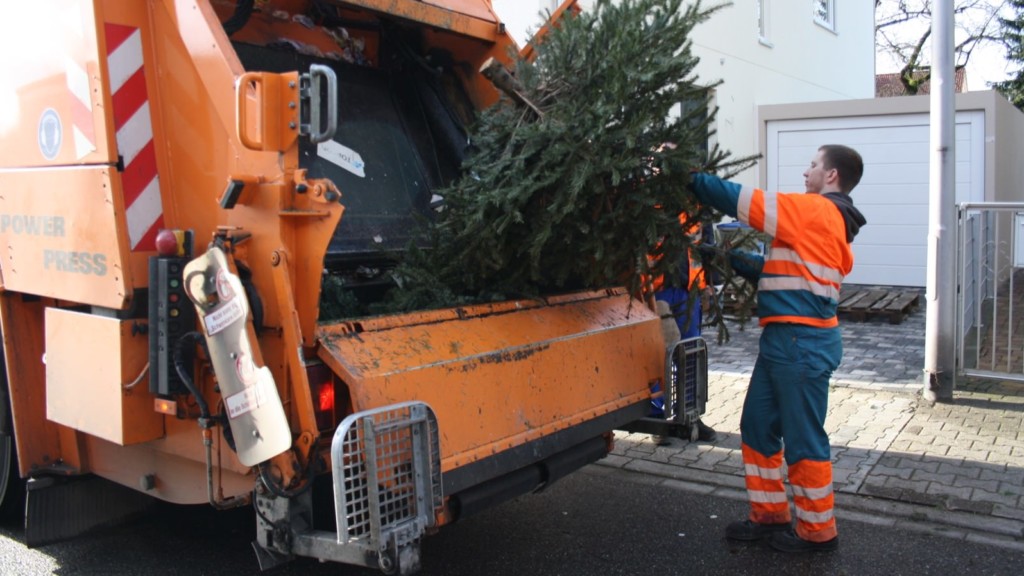 Wann der Weihnachtsbaum genau abgeholt wird, verrät der Abfallkalender | Foto: Stadt Mannheim