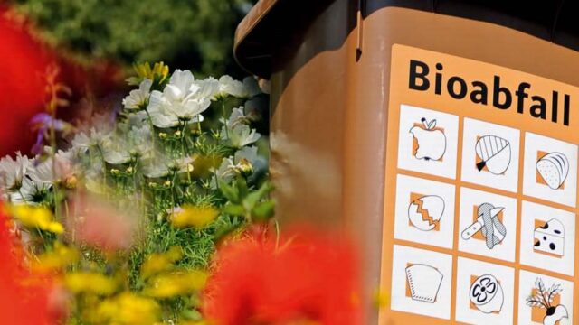 Biotonne (Symbolbild) | Foto: Stadt Mannheim