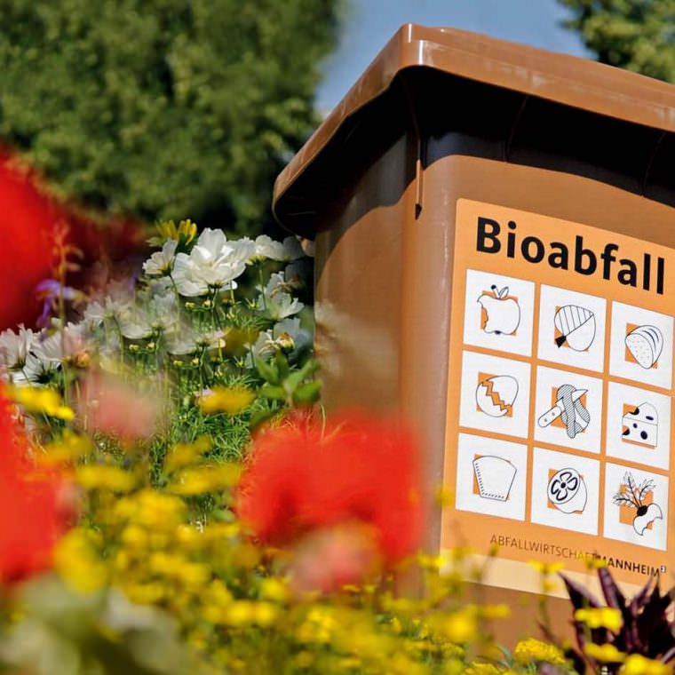 Biotonne (Symbolbild) | Foto: Stadt Mannheim