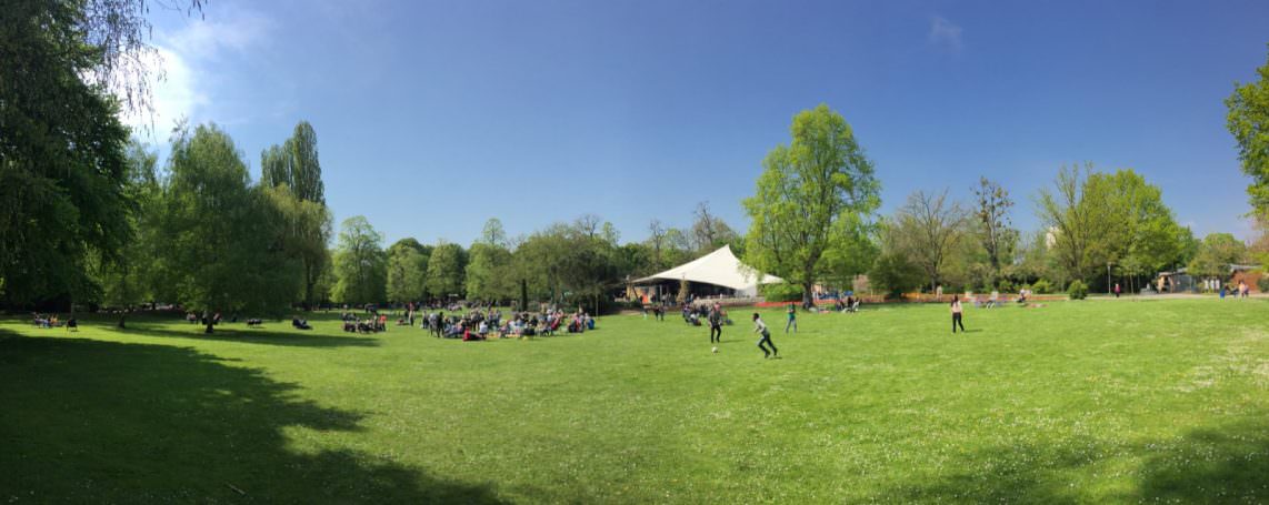 Sommer im Herzogenriedpark | Foto: M. Schülke