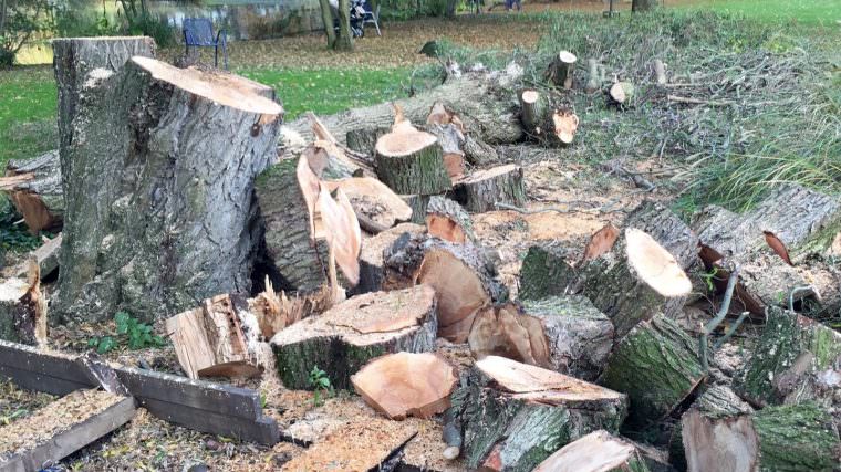 gefaellte baeume symbolbild img 7300 760x427 - Umgefallene und beschädigte Bäume nach Sturm