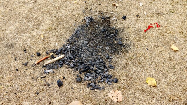 Grillspuren auf der Neckarwiese (Symbolbild) | Foto: M. Schülke