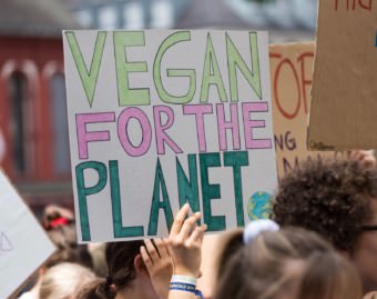 Fridays for future Mannheim am 19. Juli 2019 | Foto: CKI