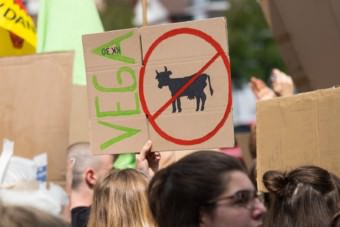 Fridays for future Mannheim am 19. Juli 2019 | Foto: CKI