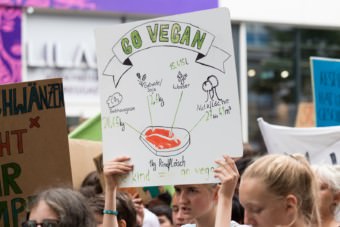 Fridays for future Mannheim am 19. Juli 2019 | Foto: CKI