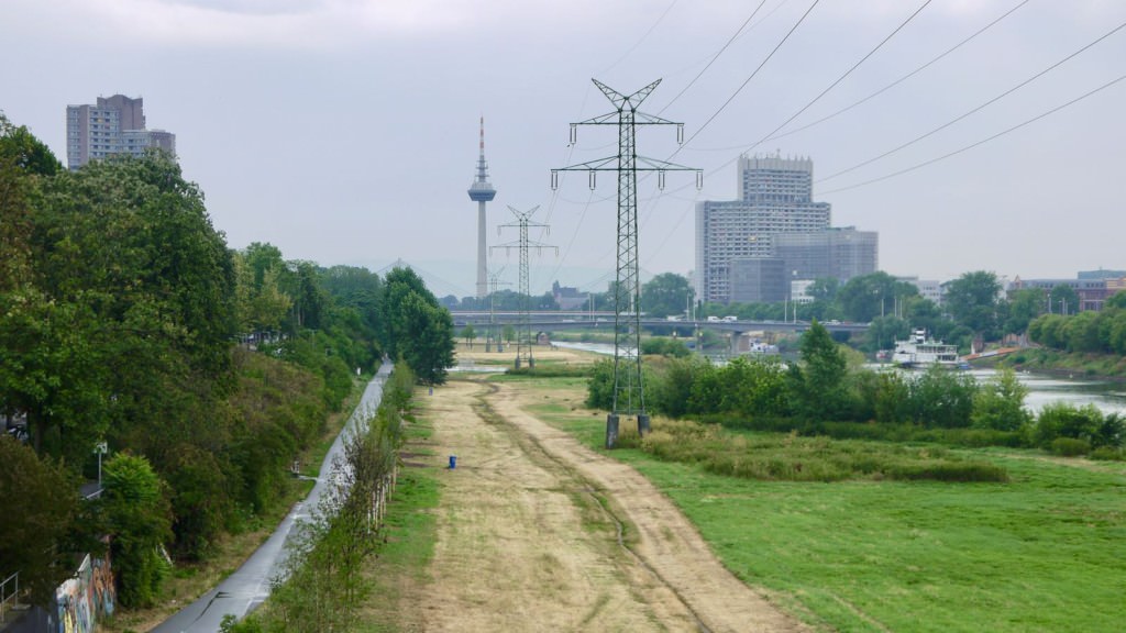 neckarwiese-07-2019-p1080630 Die Neckarwiese (Symbolbild) | Foto: M. Schülke