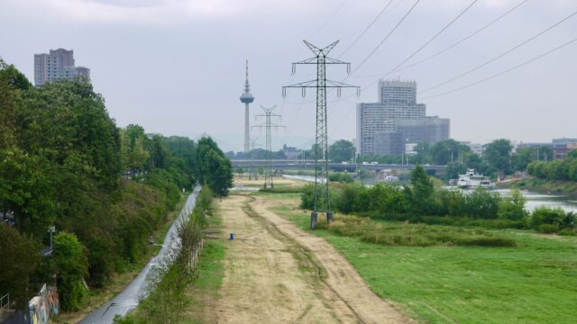 Die Neckarwiese (Symbolbild) | Foto: M. Schülke