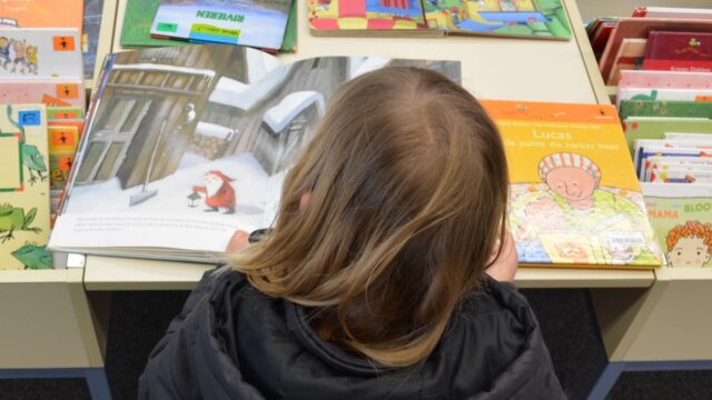 Lesendes Kind (Symbolbild) | Foto: Ben Kerckx (pixabay)