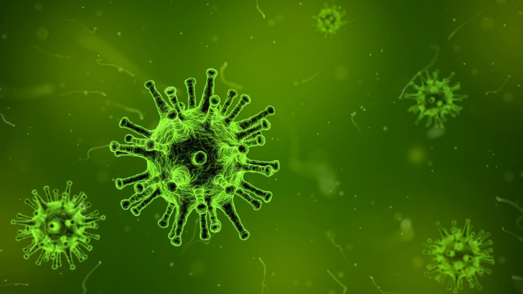 Symbolbild Virus | Foto: Qimono (via Pixabay)