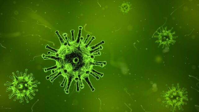 symbolbild-virus-foto-qimono-via-pixabay Symbolbild Virus | Foto: Qimono (via Pixabay)