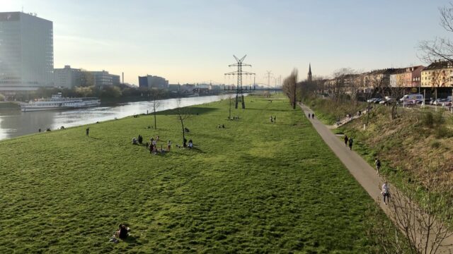 Frühlings Erwachen als ob nichts wäre auf der Neckarwiese | Foto: M. Schülke