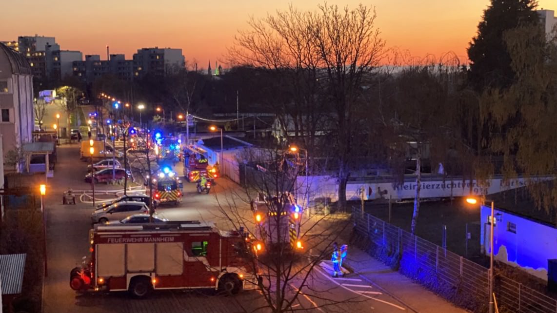 feuerwehr an der radrennbahn 1142x642 - Feuer bei Kleintierzuchtverein gerät außer Kontrolle