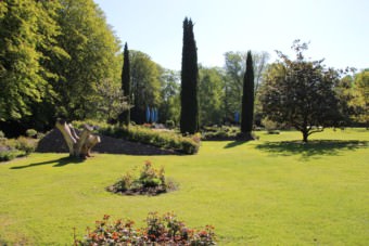 Viel Platz im Rosarium | Foto: Elmar Herding