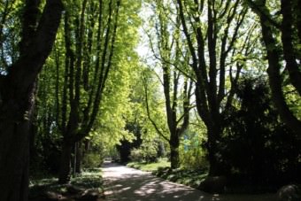 Verlassene Wege im Herzogenriedpark | Foto: Elmar Herding