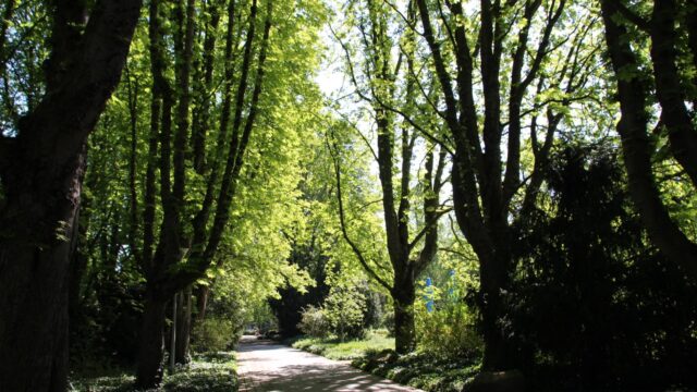 2020-04-22-herzogenriedpark-22 Verlassene Wege im Herzogenriedpark | Foto: Elmar Herding