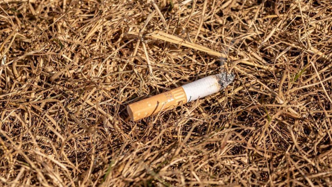 brennender zigarettenstummel symbolbild pixabay 1142x642 - Hohes Waldbrandrisiko in den Wäldern