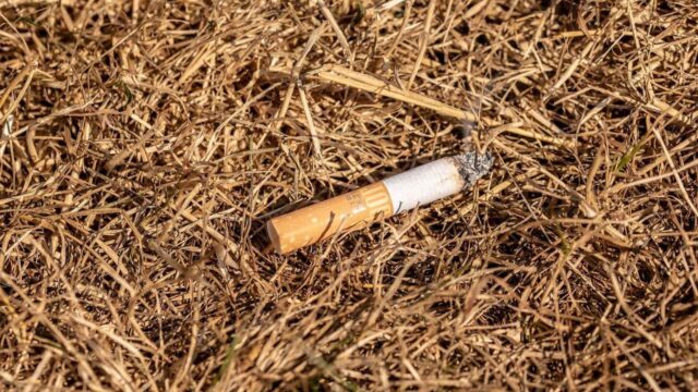 Symbolbild | Foto: Pixabay