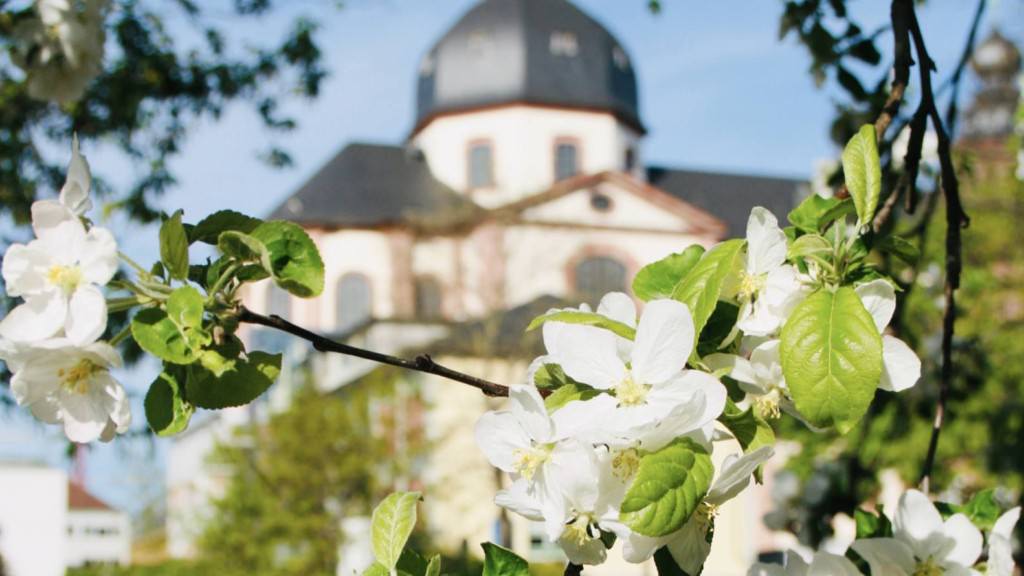 Bald versperren neue Universitätsgebäude den Blick vom Friedrichspark auf die Jesuitenkirche | Foto: Peter Derks