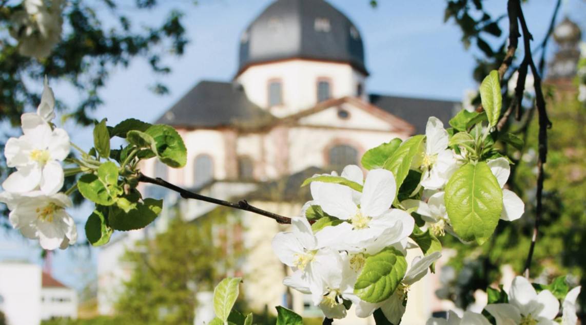 Bald versperren neue Universitätsgebäude den Blick vom Friedrichspark auf die Jesuitenkirche | Foto: Peter Derks