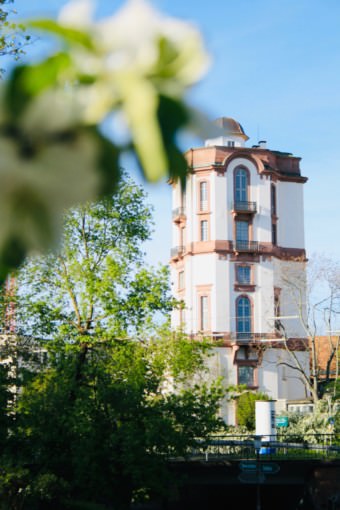 Impressionen vom Friedrichspark, April 2020 | Foto: Peter Derks