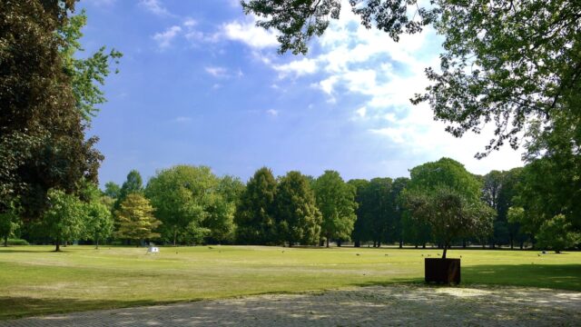 herzogenriedpark wiese p1080491 640x360 - Stadtparks öffnen für Besitzer*innen einer Jahreskarte