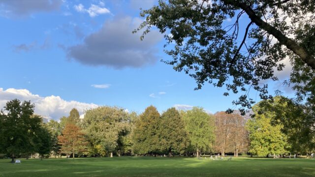 Der Herzogenriedpark im Herbst 2020 | Foto: M. Schülke