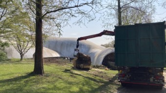 Fast durch den ganzen Herzogenriedpark hörte man die Baumfällarbeiten an der Multihalle | Foto: M. Schülke