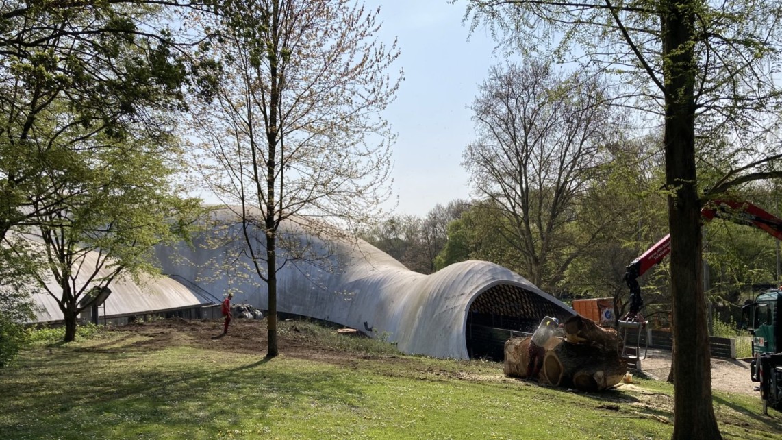 Fast durch den ganzen Herzogenriedpark hörte man die Baumfällarbeiten an der Multihalle | Foto: M. Schülke