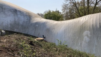 Fast durch den ganzen Herzogenriedpark hörte man die Baumfällarbeiten an der Multihalle | Foto: M. Schülke