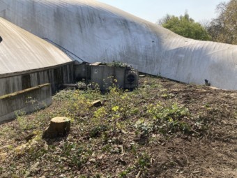 Fast durch den ganzen Herzogenriedpark hörte man die Baumfällarbeiten an der Multihalle | Foto: M. Schülke