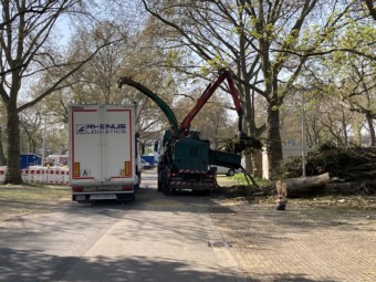 Fast durch den ganzen Herzogenriedpark hörte man die Baumfällarbeiten an der Multihalle | Foto: M. Schülke