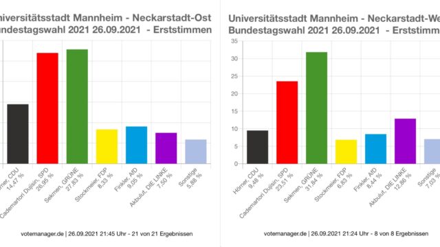 Die Verteilung der Erststimmen in der Neckarstadt | Quelle: Stadt Mannheim