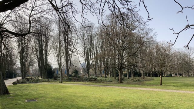 herzogenriedpark-2021-img_6660 Im Herzogenriedpark | Foto: M. Schülke