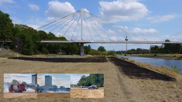 Laut Behördenangaben ist eine Fläche von circa 100 mal 100 Meter der Neckarwiese verbrannt | Fotos: M. Schülke, privat / Montage: Neckarstadtblog