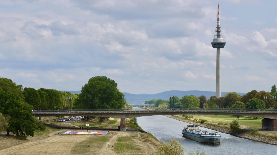 Ein Farbtupfer inmitten der verdorrten Neckarwiese | Foto: M. Schülke