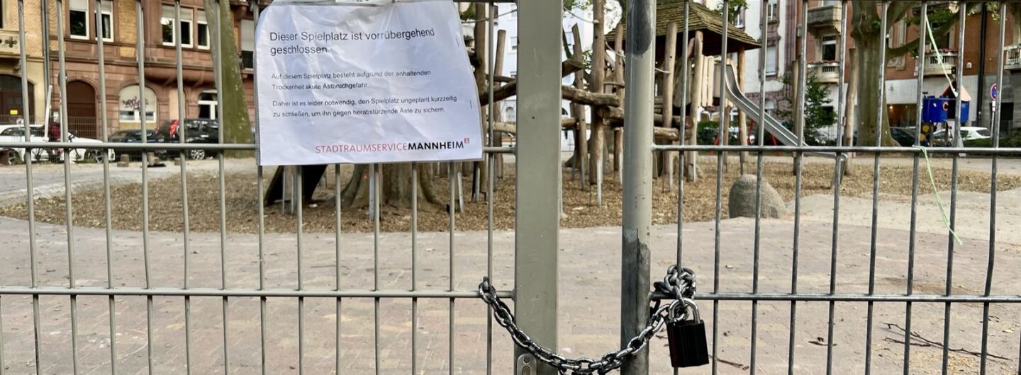 Entgegen der Mitteilung am abgesperrten Tor ist ein Pilzbefall der Platanen Grund der Sperrung | Foto: M. Schülke