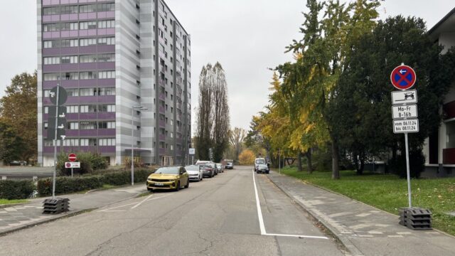 parkraum-neuordnung-img_2898 Frisch markiert in der Murgstraße | Foto: M. Schülke