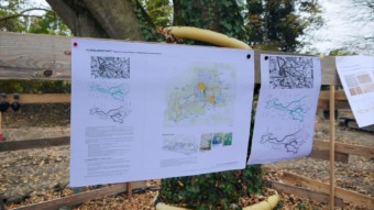 Große Pläne hat die Stadtpark Mannheim gGmbH im Herzogenriedpark | Foto: M. Schülke