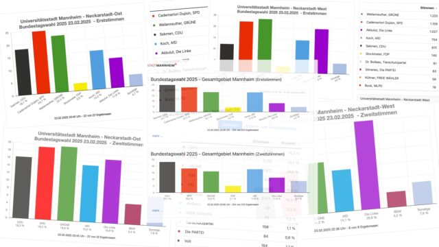 Die Bundestagswahl 2025 ist ausgezählt. So hat die Neckarstadt gewählt | Montage: Neckarstadtblog
