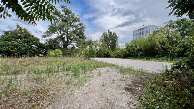 Viel ungenutzte Fläche an einem zentralen Punkt der östlichen Neckarstadt | Foto: M. Schülke