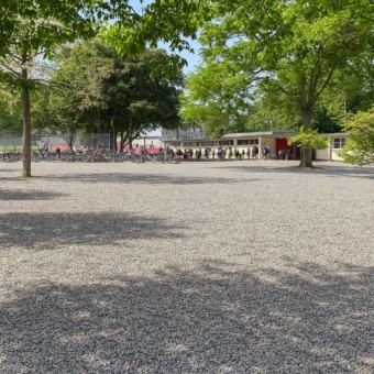 steine statt weise ki generiert 340x340 - Kinder würden zwischen Autos und Abgasen spielen…