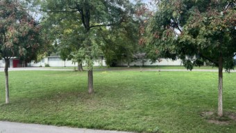 Der Blick aus dem Kinderhaus auf die Wiese | Foto: M. Schülke