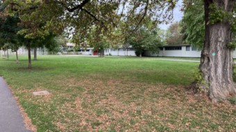 Herbstliche Wiese am Kinderhaus | Foto: M. Schülke