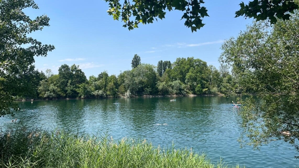 stollenwoerthweiher 2026 06 28 1142x642 - Wasserqualit&auml;t Mannheimer Badeseen bleibt ausgezeichnet